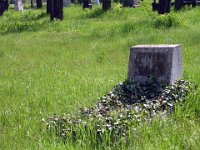 Közép-Greguss Lajos